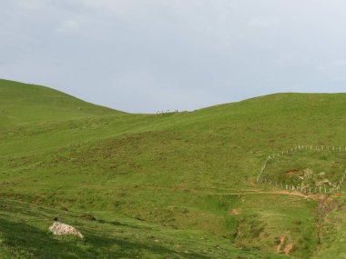 Albay Lepoeder 'e Yüksel