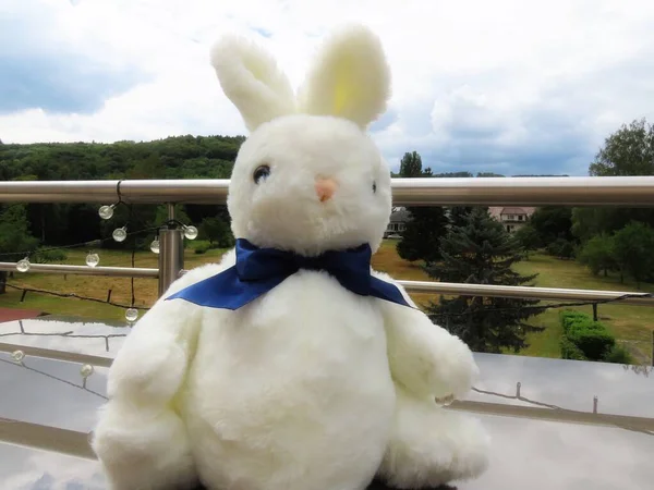 白いふわふわのウサギのおもちゃ — ストック写真