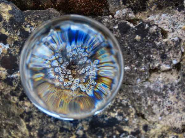 Yosun ve gökkuşağı topun içinde