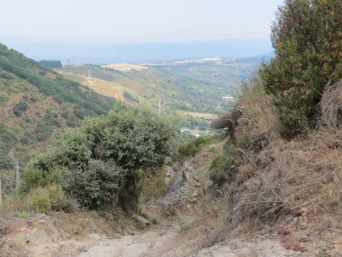 Yol taşları.