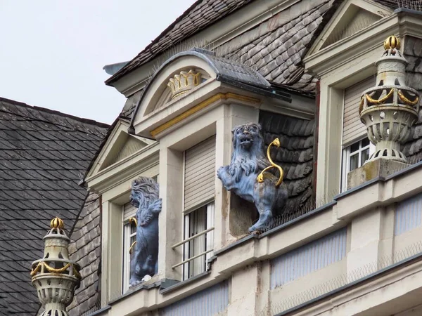 Lions bleus avec des queues d'or — Photo