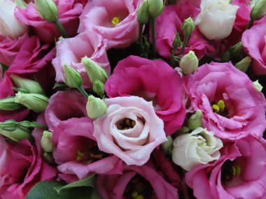 Bir buket lisianthus düğün çiçeği