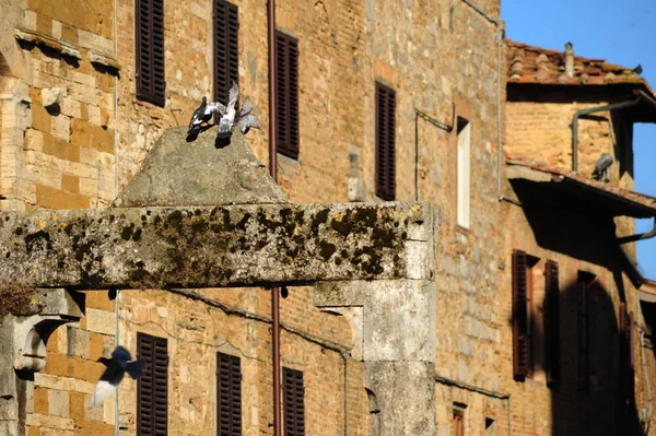 Scorcio Con Dettaglio Del Pozzo Nella Piazza San Gimignano — ストック写真