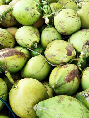 Yerel bir markette taze hindistan cevizi satışı için büyük ve dokulu bir yığın bekliyor. Tazeliği, tropikal cömertliği ve sağlıklı su kaybını simgeliyor..