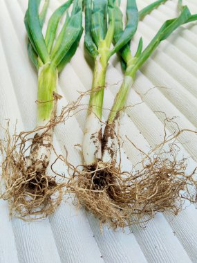 Fresh, organic green onions on a white surface, perfect for healthy cooking. Use this image for food blogs, recipe websites, and culinary projects.