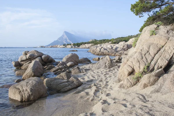 Tavolara Adası Sardunya Nın Kuzey Doğusunda Olbia Talya — Stok fotoğraf