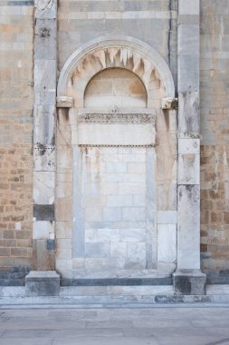 Mary 'nin varsayımı Katedrali. Pisa. Piazza dei Miracoli. Pisa. Toskana. Italya