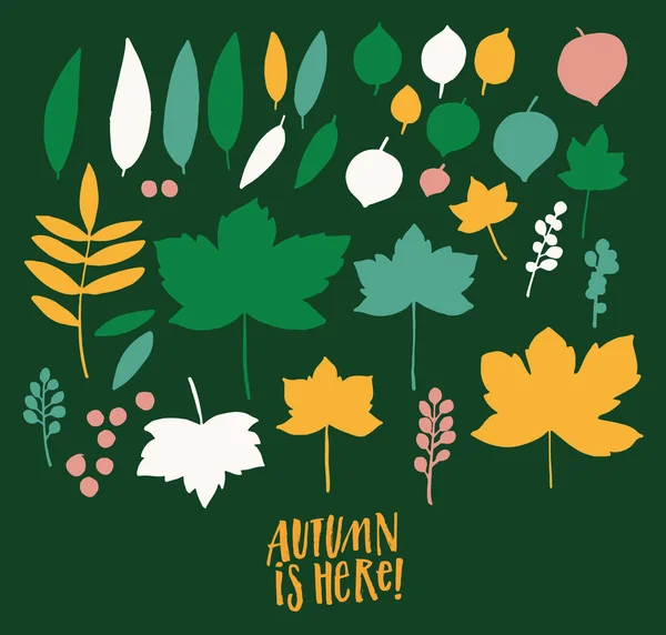 Autumn Leaves Illustration Composition Green Background — Stock Vector