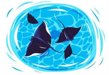 Deniz vatozlarının vektör illüstrasyonları denizin merkezinde bir çember içinde yüzerler, üst manzara