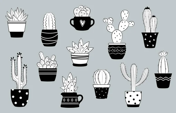 Vector Black White Cactus Succulents Set Cute Cactus Flower Pots — Stock Vector