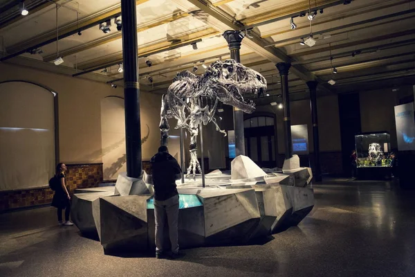 Βερολίνο Γερμανία Μαΐου 2018 Tristan Otto Tyrannosaurus Rex Σκελετό Στο — Φωτογραφία Αρχείου