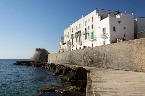 Promesa Frente Mar Con Muralla Fortificación Permanece Monopoli Mar Adriático —  Fotos de Stock