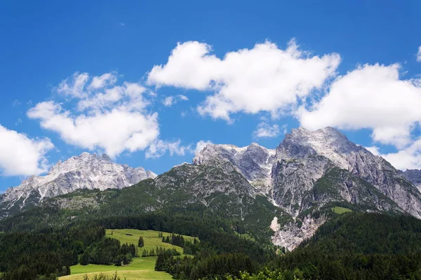 Leogang Leoganger Steinberge 以最高的山顶 Birnhorn 田园诗般的夏天风景阿尔卑斯 泽尔是看见区 萨尔茨堡联邦政府 奥地利 — 图库照片