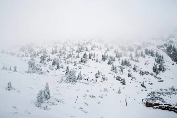 Gente Cammina Nebbioso Paese Invernale Nevoso Vicino Labska Bouda Krkonose — Foto Stock