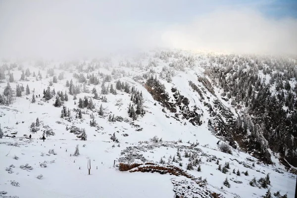 Gente Cammina Nebbioso Paese Invernale Nevoso Vicino Labska Bouda Krkonose — Foto Stock