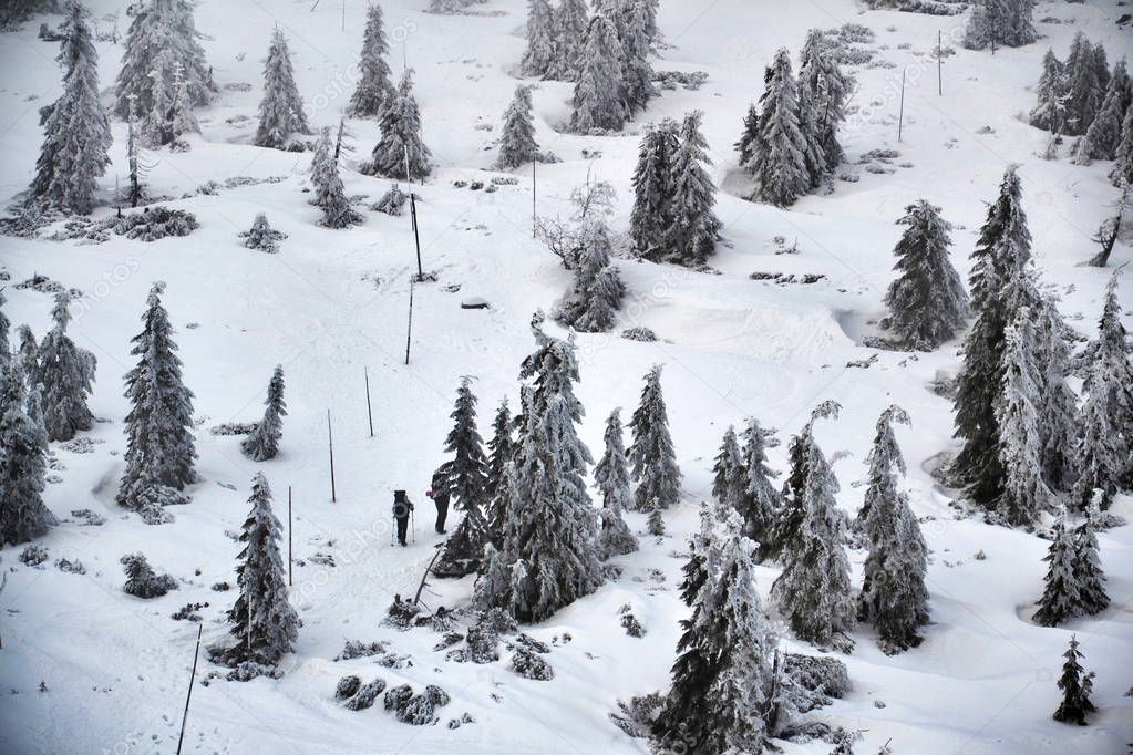 People walk in snowy foggy winter country near Labska bouda, Krkonose Mountains, Czech Republic, freezing weather