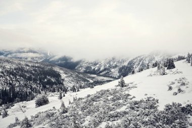 Güzel karlı sisli kış manzara ülke, Krkonose Mountains, Çek Cumhuriyeti