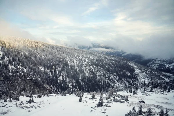 Beautiful Snowy Foggy Winter Landscape Country Krkonose Mountains Czech Republic — Stock Photo, Image