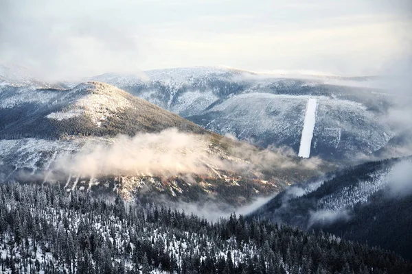 Indah Berkabut Salju Musim Dingin Lanskap Negara Krkonose Pegunungan Republik — Stok Foto