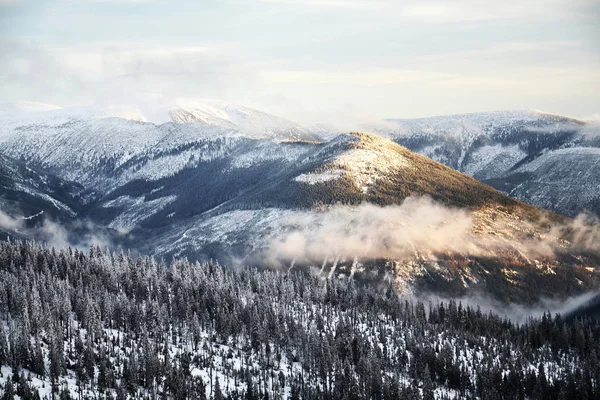 美丽的雪雾的冬天风景国家 克尔科诺谢山山 捷克共和国 — 图库照片