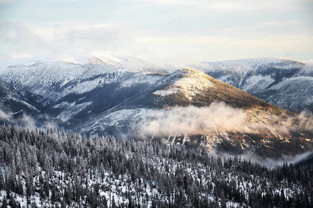 Beautiful snowy foggy winter landscape country, Krkonose Mountains, Czech Republic