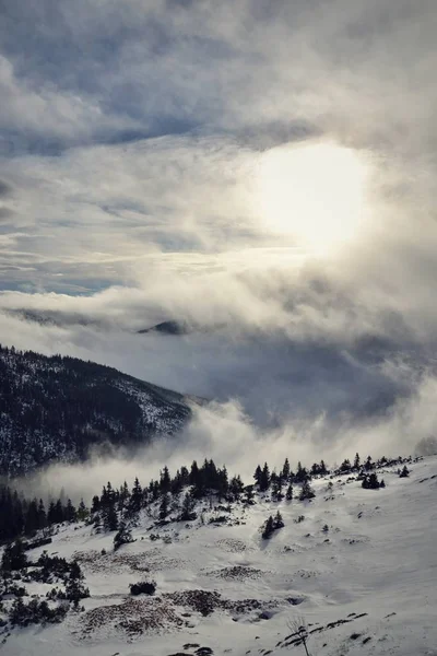 Солнечные Лучи Проходящие Сквозь Туман Облака Красивом Зимнем Пейзаже Лабского — стоковое фото