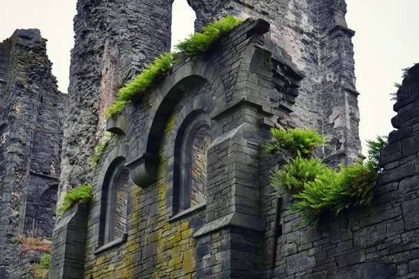 Kalıntıları Cisterian Villers Abbey Abbaye Villers Villers Ville Brabant Province — Stok fotoğraf