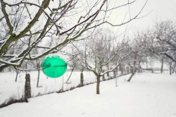 Bola Natal Verde Decoração Vidro Vintage Pendurado Árvore Livre Caindo — Fotografia de Stock