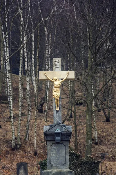 Estatua Dorada Crucifixión Jesucristo Día Oscuro Nublado Del Invierno Abedules —  Fotos de Stock
