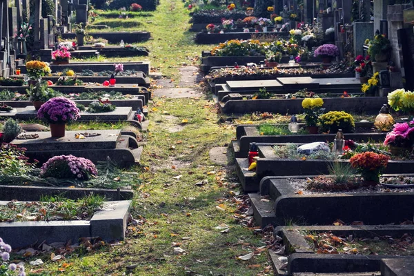 Beautiful Flower Bunch Graves Autumn Cemetery Prague Czech Republic Sunny — Stock Photo, Image