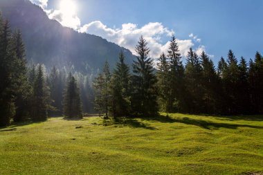 Göl Pillersee güzel doğa sahne derin orman ve Seehorn dağ, Sankt Ulrich ile am Pillersee, Avusturya, güneşli yaz gün