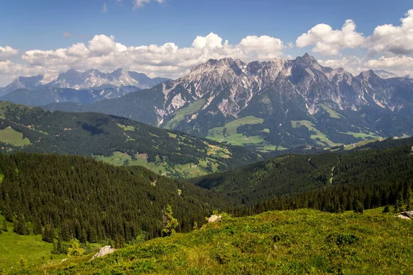 Leogang Leoganger Steinberge 以最高的山顶 Birnhorn 田园诗般的夏天风景阿尔卑斯 泽尔是看见区 萨尔茨堡联邦政府 奥地利 — 图库照片