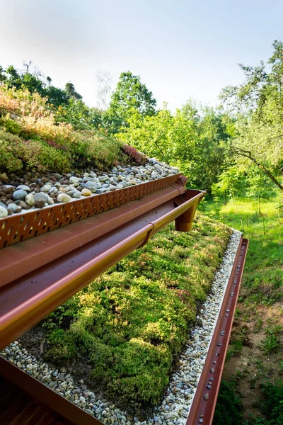 Extensive Green Living Sod Roof Covered Vegetation Mostly Tasteless Stonecrop — Stock Photo, Image