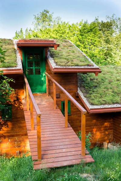 Обширная Зеленая Живая Крыша Покрытая Растительностью Основном Безвкусная Каменная Капля — стоковое фото