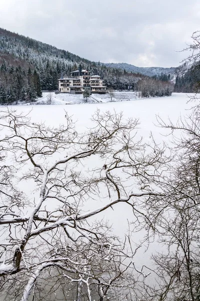 Solitary building in beautiful snowy winter forest landscape, frozen Brezova dam, Shining movie style