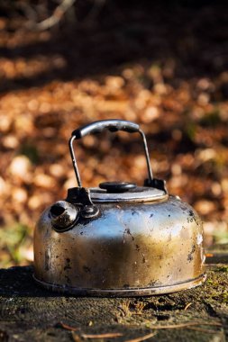 Ormanda düşen yapraklar Doğa arka plan, suny sonbahar günü füme teneke çaydanlık standları