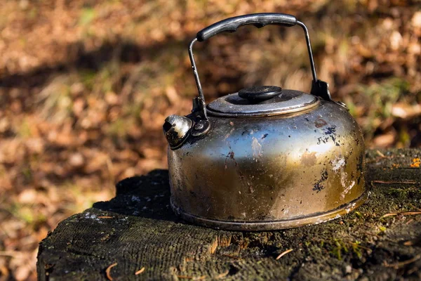 烟熏锡茶壶站在森林里 落叶自然背景 阳光秋日 — 图库照片