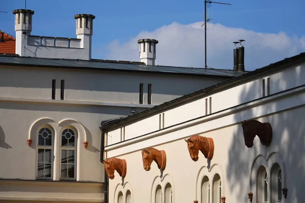 Cheval Sculpture Tête Sur Mur Écurie Lany République Tchèque — Photo