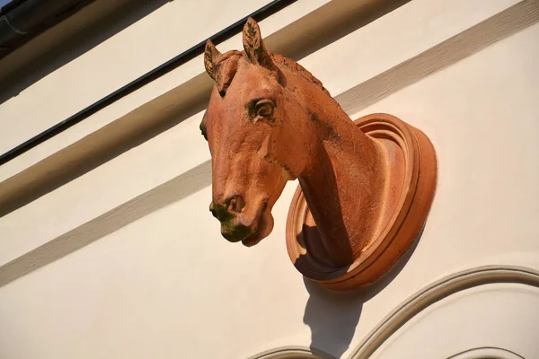 马头雕塑在墙上的稳定 捷克共和国 — 图库照片