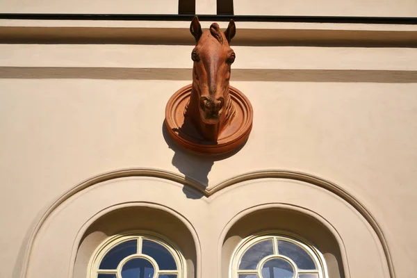 马头雕塑在墙上的稳定 捷克共和国 — 图库照片