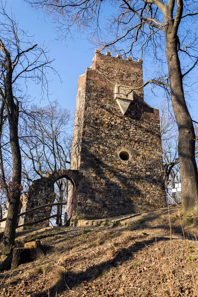 Romantic Cibulka Lookout Tower Prague Czech Republic Sunny Day Clear — Stock Photo, Image