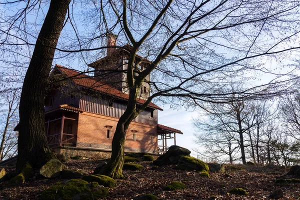 Güzel Sihirli Bahar Ormanı Romantik Gözetleme Kulesi Vlkova Çek Cumhuriyeti — Stok fotoğraf