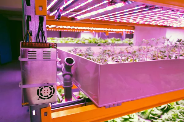 Elektronica Afspelen Aquaponics Systeem Dat Vis Aquacultuur Combineert Met Hydroponics — Stockfoto