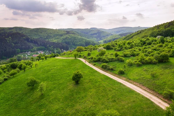 Atemberaubende Luftaufnahme Von Feldweg Zwischen Wiesen Und Obstgarten Mit Bunten — Stockfoto