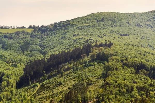 Гарний Літній Ландшафт Барвистими Мішаних Лісів Довкола Циткова Білих Карпат — стокове фото