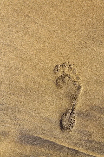 Einzelner Menschlicher Barfußabdruck Des Rechten Fußes Braun Gelbem Sandstrand Sommerurlaub — Stockfoto