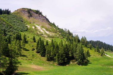 Alpler'de güzel Sonntagskogel Dağı yolu, Sankt Johann im Pongau ilçe, Salzburg federal devlet, Avusturya, güneşli yaz günü, berrak mavi gökyüzü, keşif wanderlust kavramı