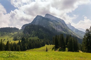 Alpler Grosser Donnerkogel Dağı Top, Gosau, Gmunden ilçe, Yukarı Avusturya federal devlet, güneşli yaz günü, berrak mavi gökyüzü, keşif wanderlust kavramı