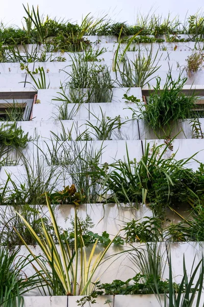 Window Surrounded Root Zone Waste Water Treatment Plant Green Vertical — Stockfoto