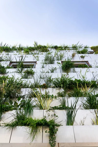 Window Surrounded Root Zone Waste Water Treatment Plant Green Vertical — Stockfoto